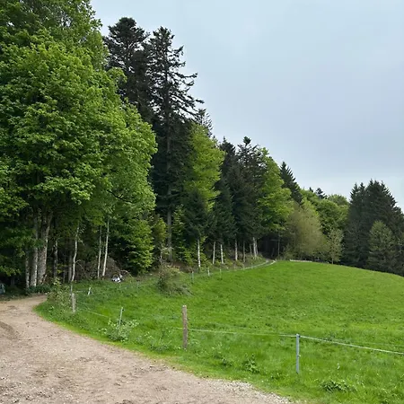Badischhaus Am Waldrand & Weitblick Appartement