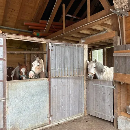Badischhaus Am Waldrand & Weitblick * Herrischried