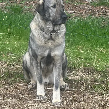 Διαμέρισμα Badischhaus Am Waldrand & Weitblick