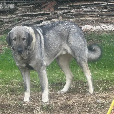 Badischhaus Am Waldrand & Weitblick * Herrischried