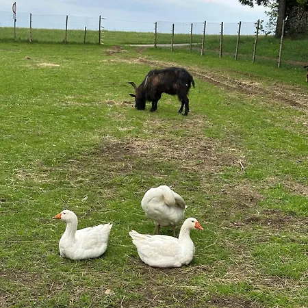 Badischhaus Am Waldrand & Weitblick * Herrischried