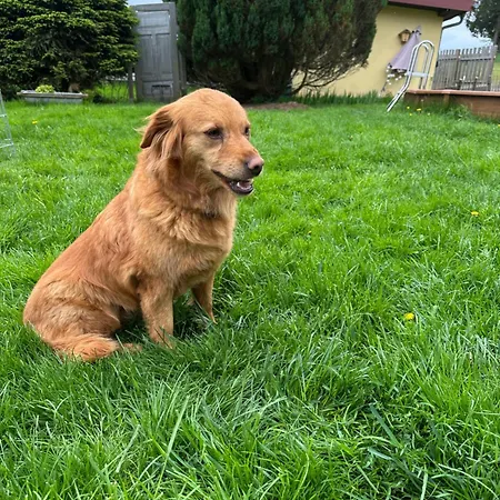 Διαμέρισμα Badischhaus Am Waldrand & Weitblick Herrischried