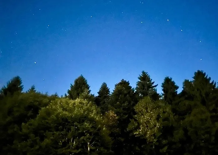 Badischhaus Am Waldrand & Weitblick Herrischried