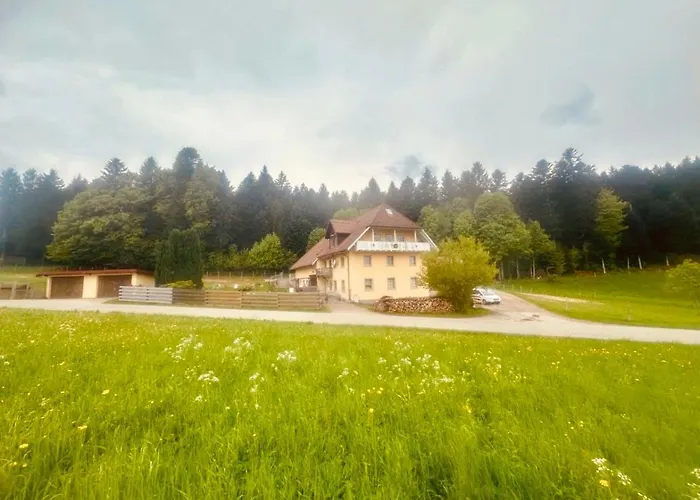 Badischhaus Am Waldrand & Weitblick *