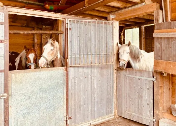 Badischhaus Am Waldrand & Weitblick Apartament *